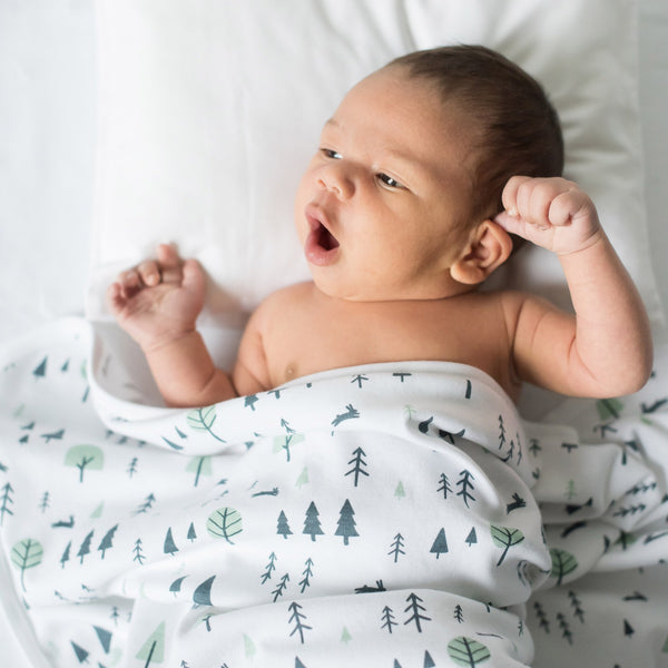 Summerville Organics forest print organic cotton baby blanket