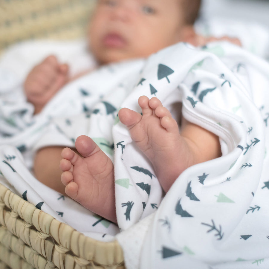 Summerville Organics forest print organic cotton baby blanket 3