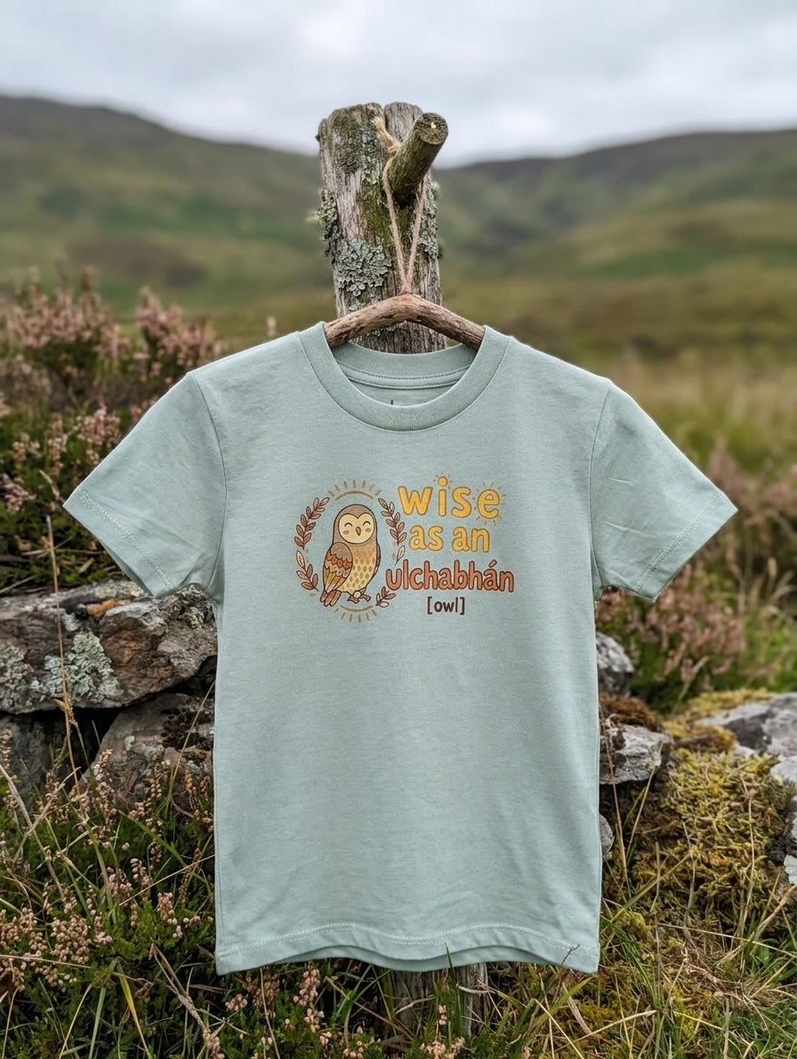 seafoam kids t-shirt with owl design on a wooden hanger outdoors in Irish nature