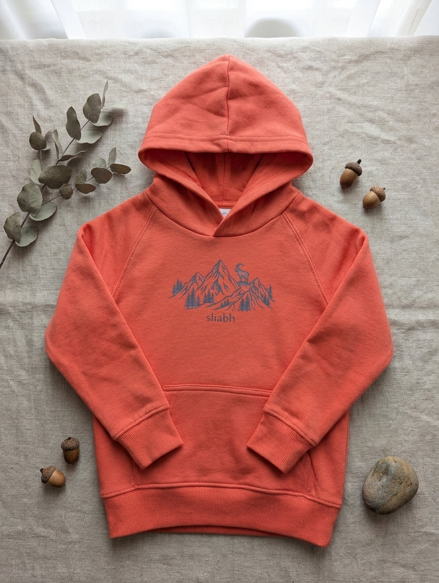 Flat lay of orange hoodie with mountain design on natural leaf background