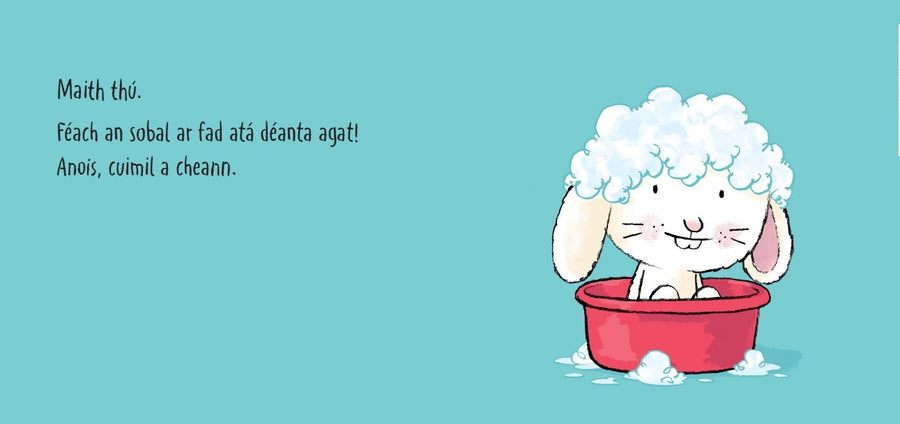 Am Folctha, a Choinín Beag! interior spread, washing Little Rabbit